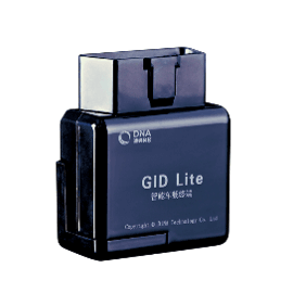 GID Lite